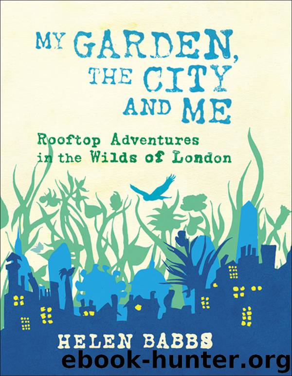 My Garden, the City and Me by Helen Babbs