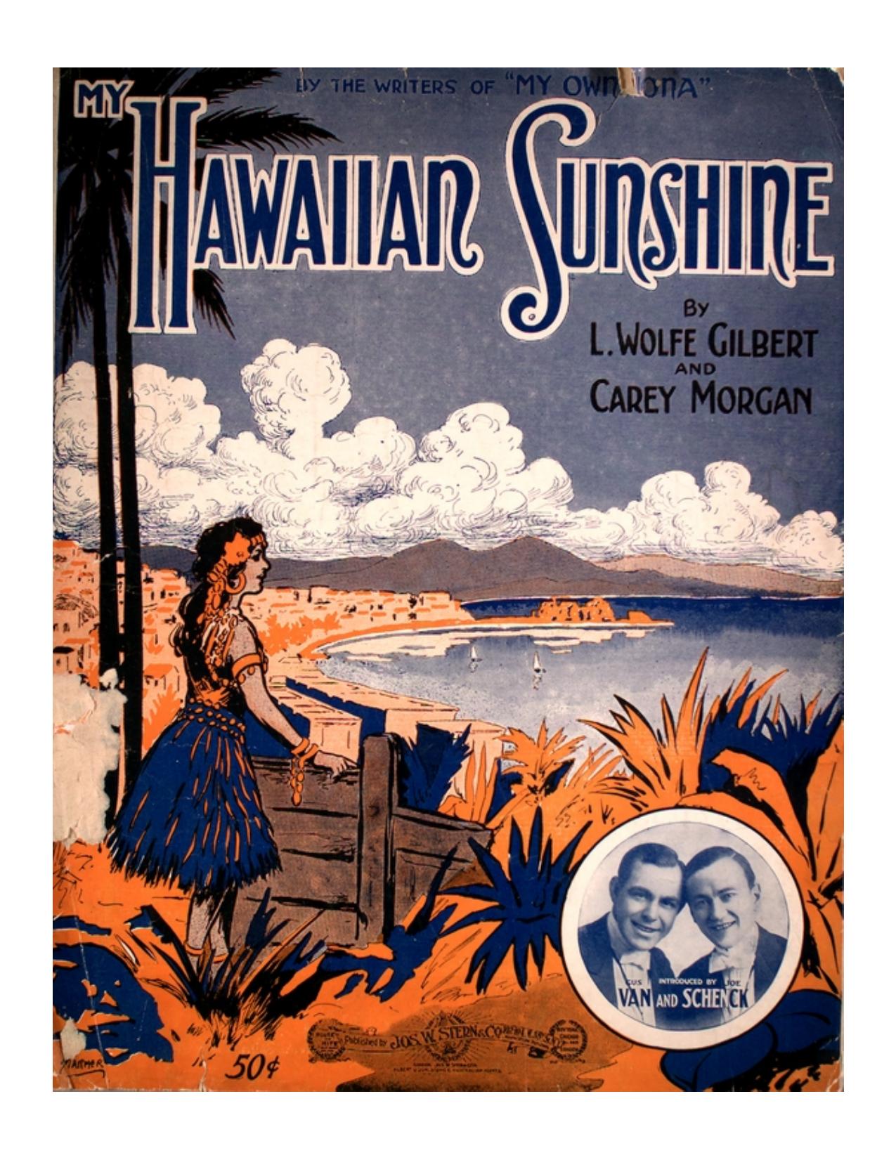 My Hawaiian Sunshine by Unknown
