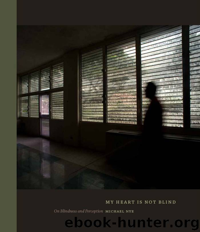 My Heart Is Not Blind by Michael Nye