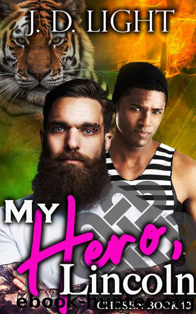 My Hero, Lincoln : Chosen Book 19 by J. D. Light