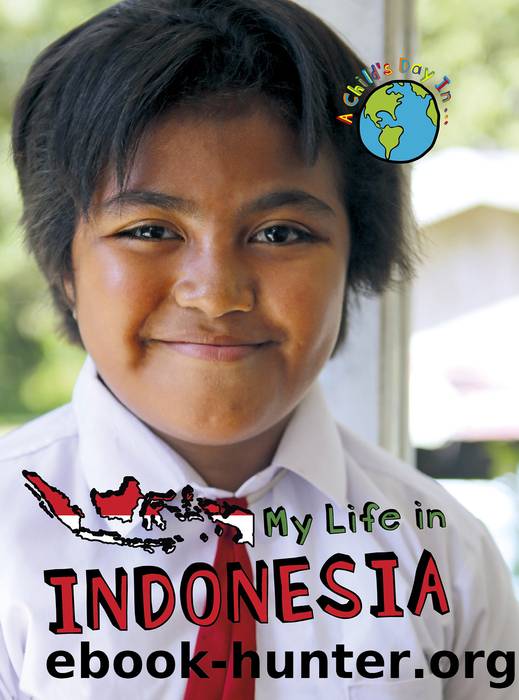 My Life In Indonesia by Patience Coster