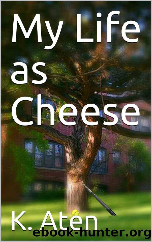 My Life as Cheese by K. Aten