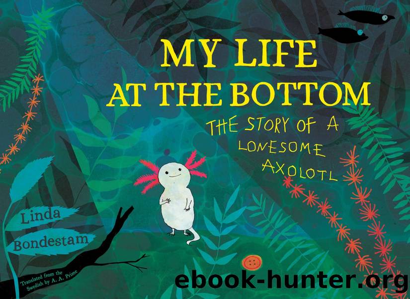 My Life at the Bottom by Linda Bondestam