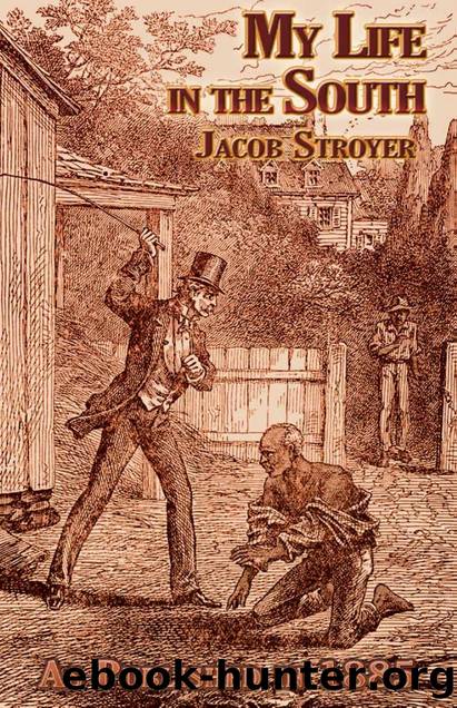 My Life in the South by Jacob Stroyer; Henry K. Oliver; E. S. Atwood