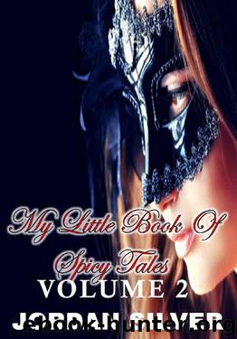 My Little Book of Spicy Tales Volume 2 by Jordan Silver