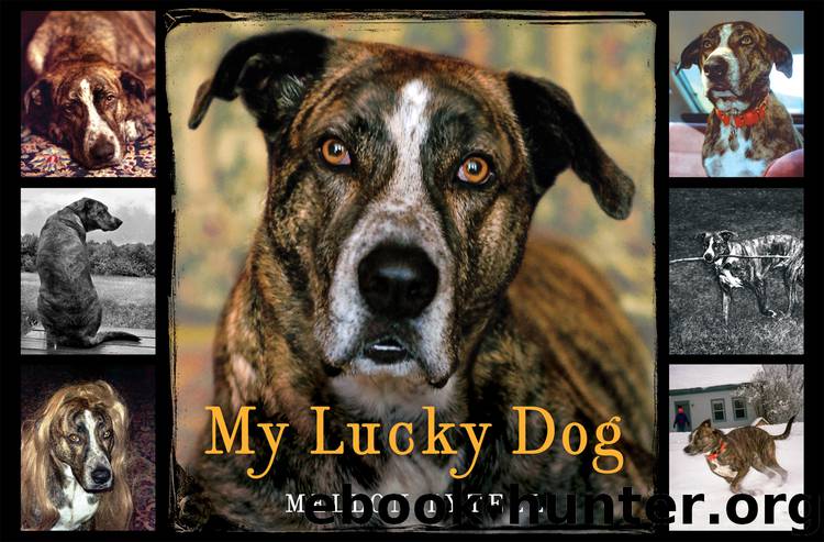 My Lucky Dog by Mellon Tytell