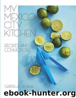My Mexico City Kitchen by Gabriela Camara & Malena Watrous