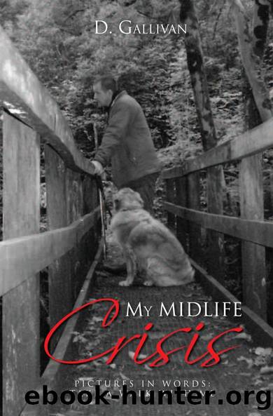 My Midlife Crisis by D. Gallivan