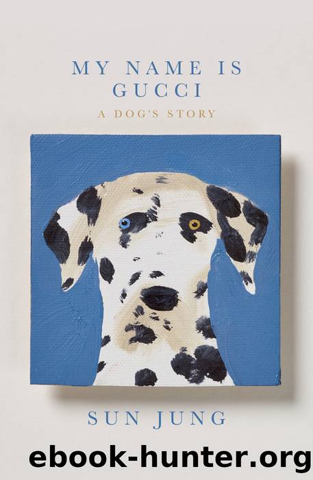 My Name Is Gucci by Sun Jung