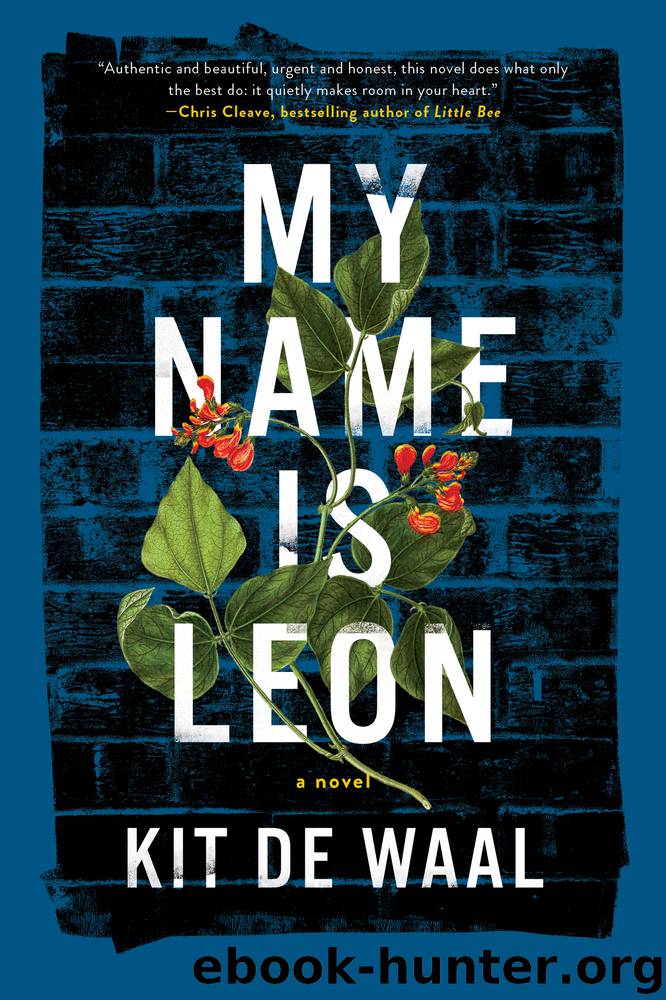 My Name Is Leon by Kit de Waal
