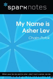 My Name is Asher Lev: SparkNotes Literature Guide by SparkNotes