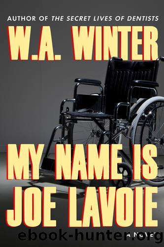 My Name is Joe LaVoie by W.A. Winter