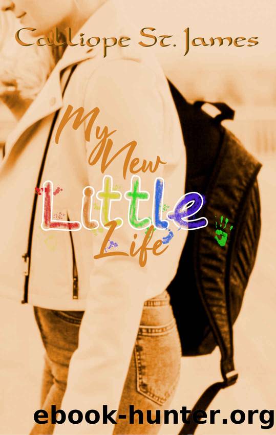 My New Little Life by Calliope St. James