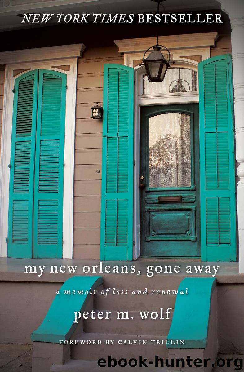 My New Orleans, Gone Away by Peter M. Wolf