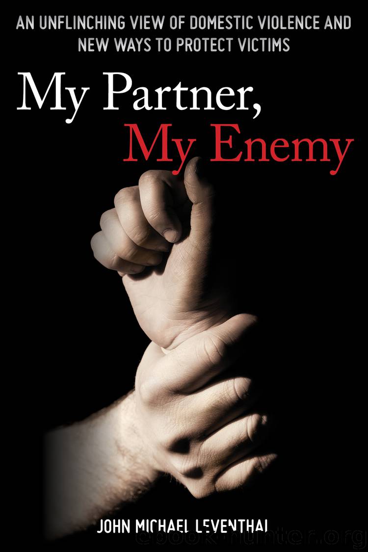My Partner, My Enemy by John Michael Leventhal