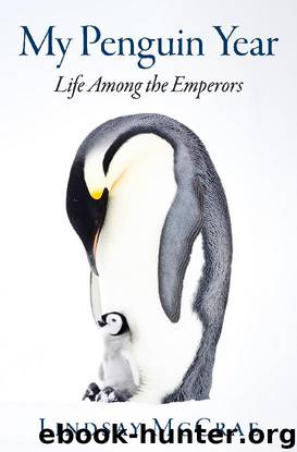 My Penguin Year by Lindsay McCrae