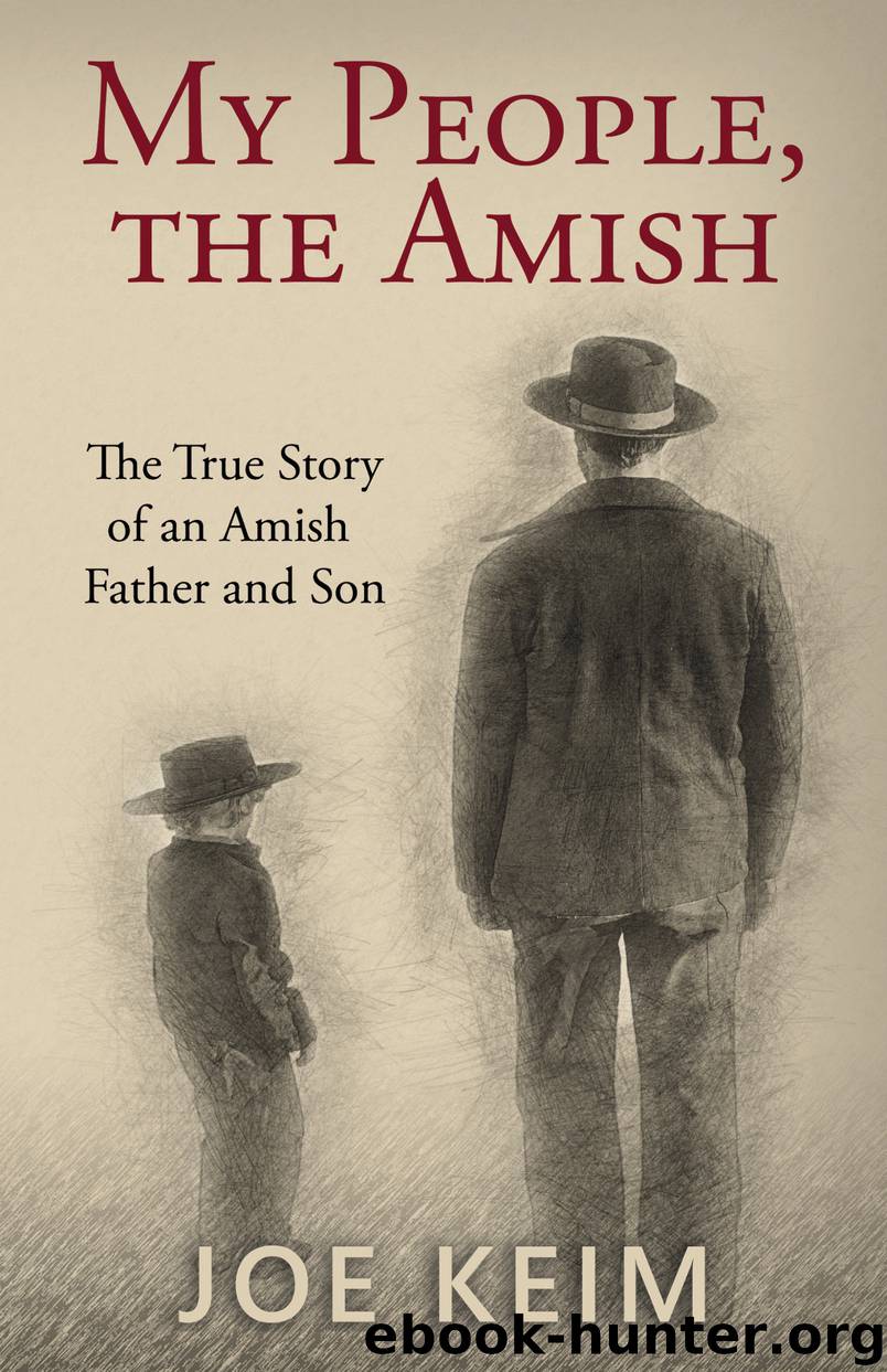 My People, the Amish by Joe Keim