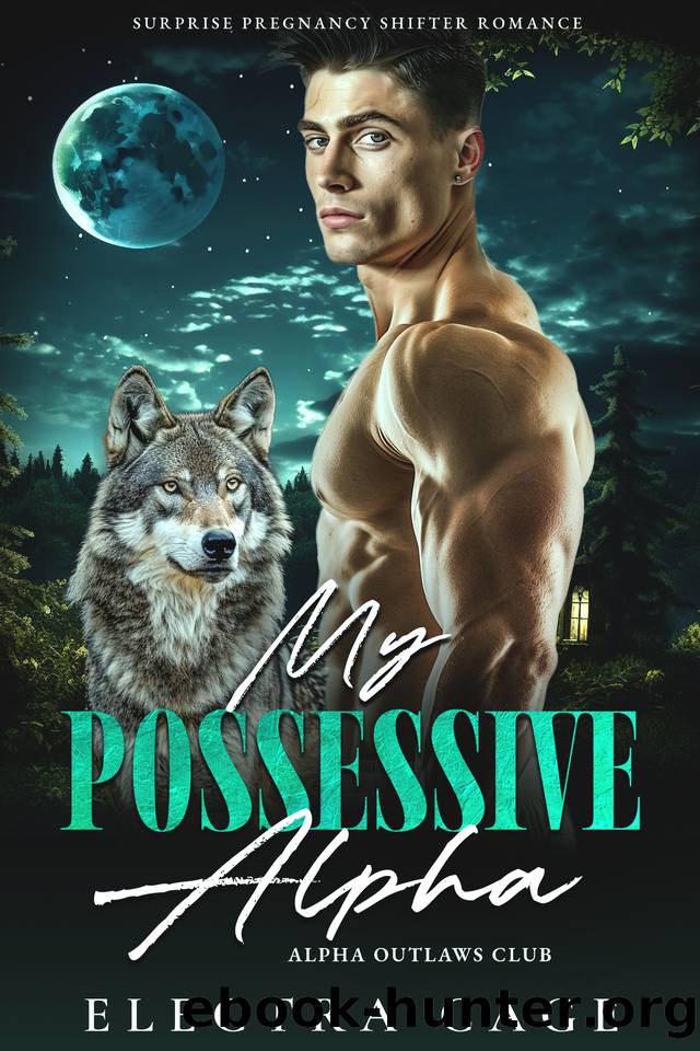 My Possessive Alpha: Surprise Pregnancy Shifter Romance (Alpha Outlaws Club Book 3) by Electra Cage