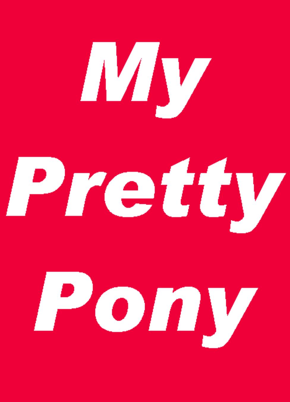 My Pretty Pony (Limited Edition) by Stephen King