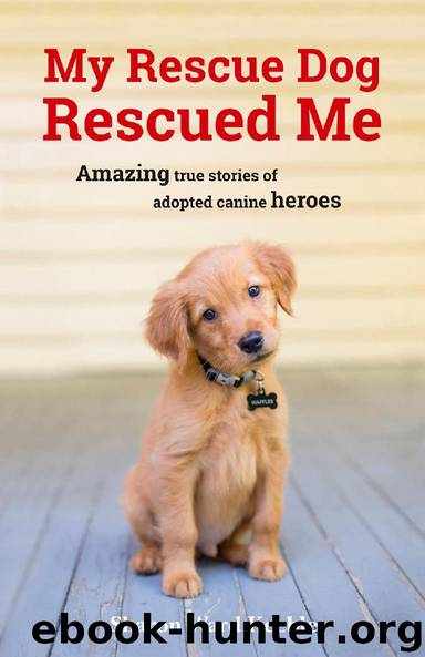 My Rescue Dog Rescued Me - Amazing True Stories of Adopted Canine Heroes by Sharon Ward Keeble