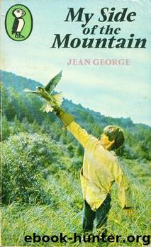 My Side of the Mountain by Jean George