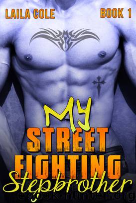 My Street Fighting Stepbrother - Book 1 (Stepbrother Erotic Romance) by Laila Cole