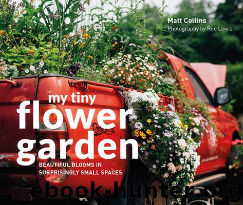 My Tiny Flower Garden by Matt Collins