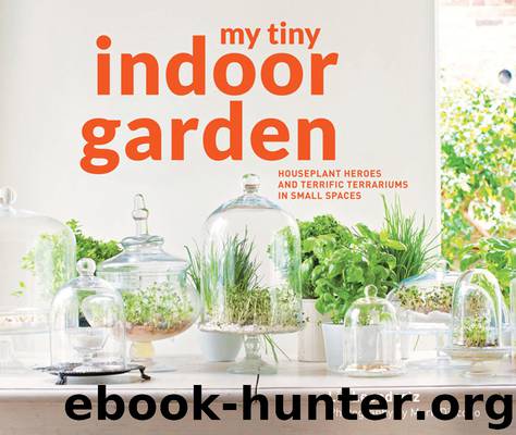 My Tiny Indoor Garden by Lia Leendertz