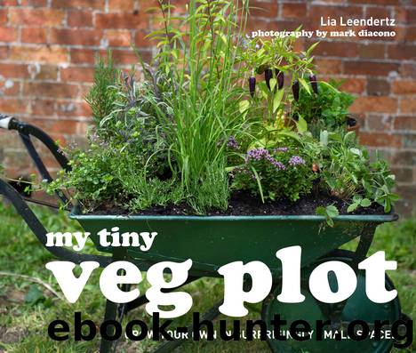 My Tiny Veg Plot by Lia Leendertz