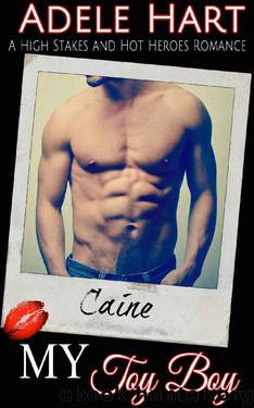 My Toy Boy: A High Stakes and Hot Heroes Romance by Adele Hart