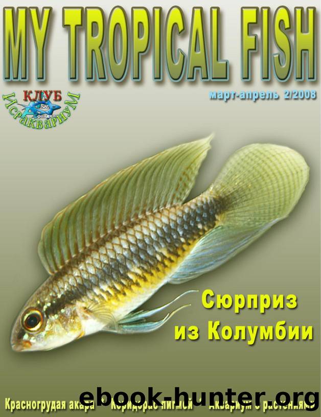 My Tropical Fish by 14