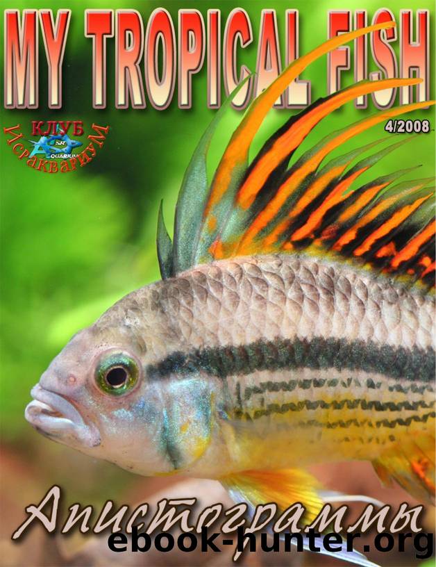 My Tropical Fish by 16