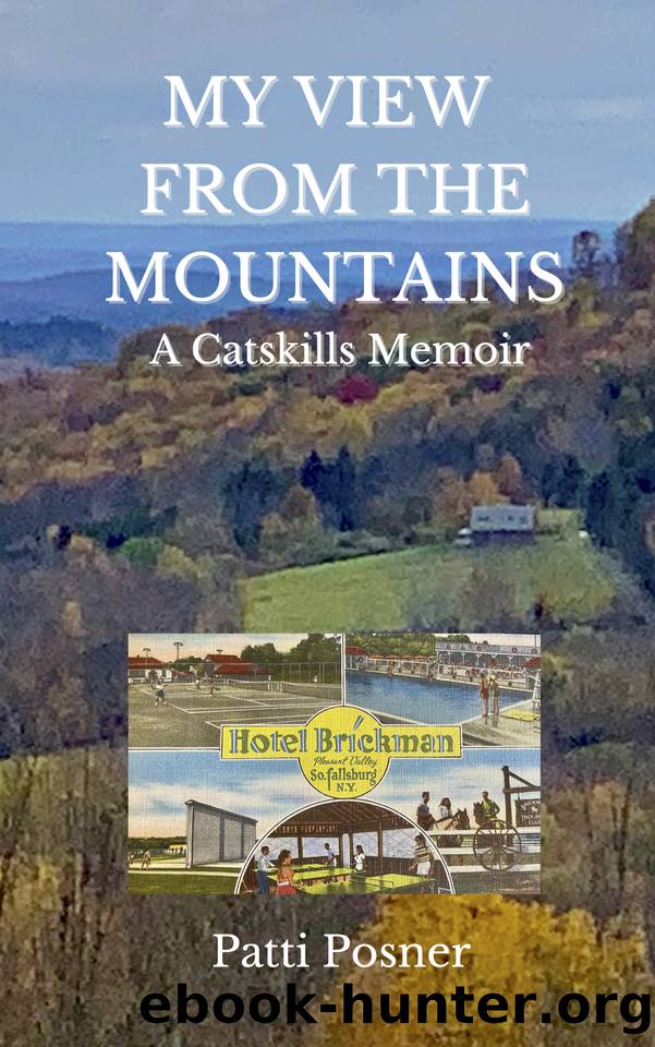 My View From the Mountains: A Catskills Memoir by Posner Patti