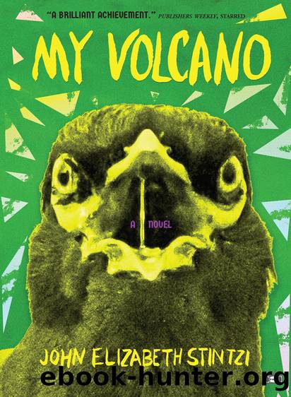 My Volcano by John Elizabeth Stintzi