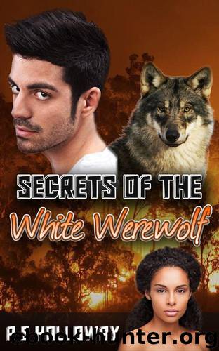 My White Werewolf 1: Secrets of the White Werewolf by R S Holloway & Bwwm Romance Dot Com