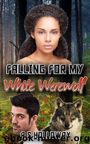 My White Werewolf 2: Falling for My White Werewolf by R S Holloway & Bwwm Romance Dot Com