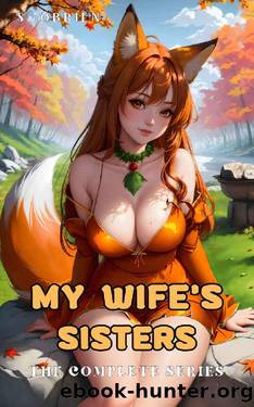 My Wife's Sisters: The Complete Series: An Isekai Harem Progression Fantasy Adventure by S. Obrien