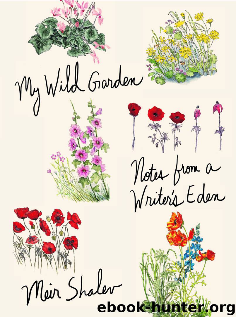 My Wild Garden by Meir Shalev