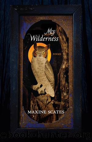 My Wilderness by Maxine Scates
