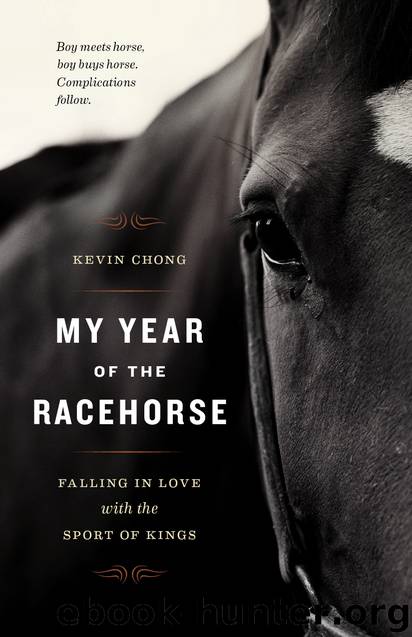 My Year of the Racehorse by Kevin Chong