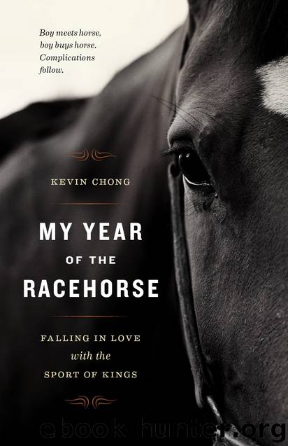 My Year of the Racehorse: Falling in Love With the Sport of Kings by Kevin Chong