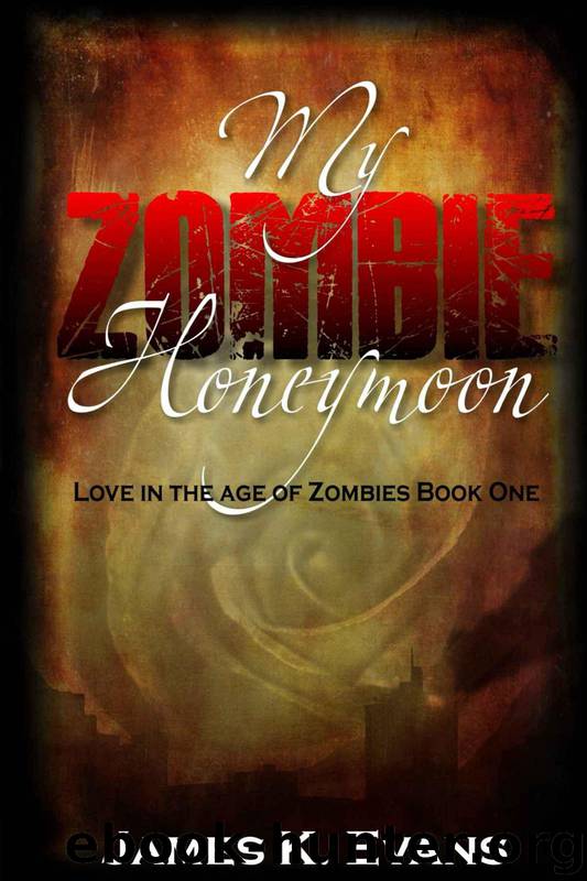My Zombie Honeymoon: Love in the Age of Zombies Book One by Evans James K