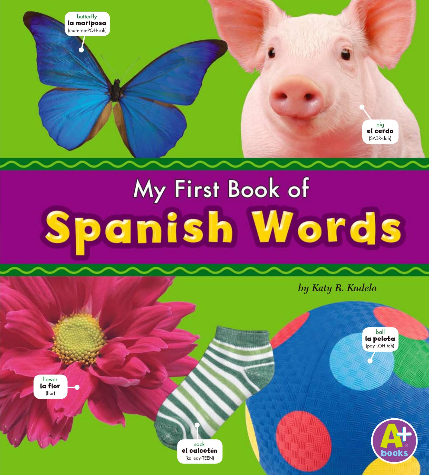 My first book of Spanish words by Kudela Katy R