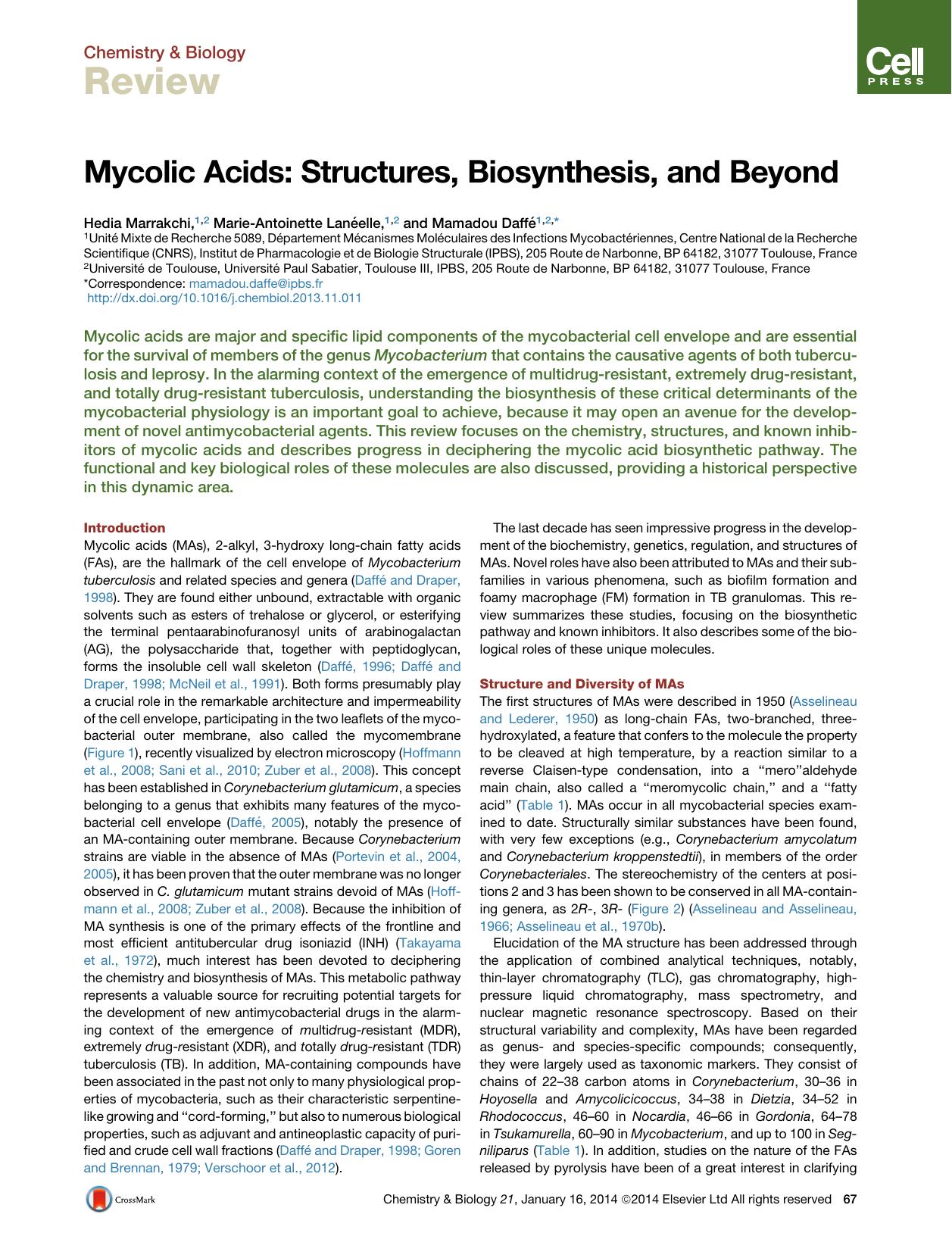 Mycolic Acids: Structures, Biosynthesis, and Beyond by Hedia Marrakchi & Marie-Antoinette Lanéelle & Mamadou Daffé