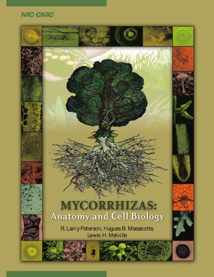 Mycorrhizas: Anatomy and Cell Biology by R. L. Peterson H. B. Massicotte L. H. Melville