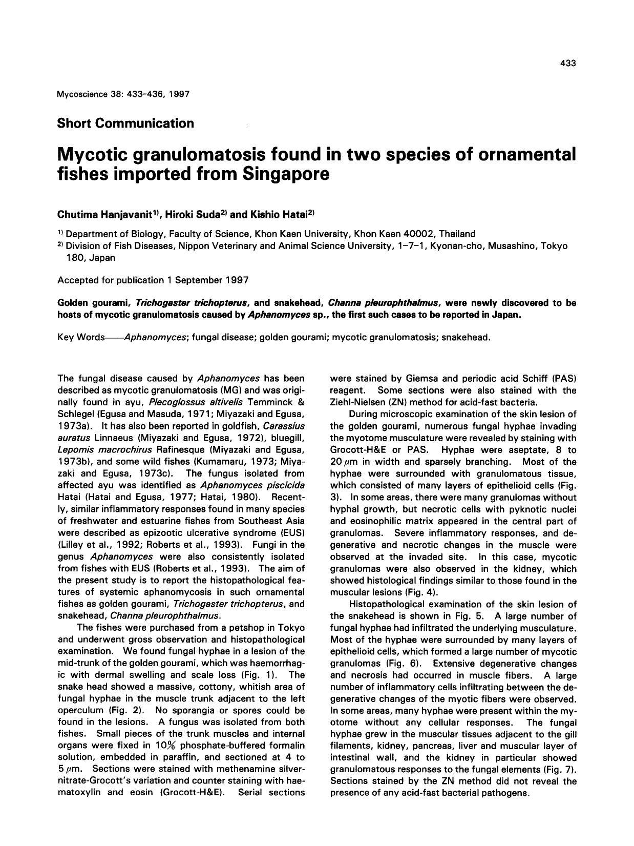 Mycotic granulomatosis found in two species of ornamental fishes imported from Singapore by Unknown