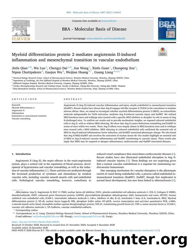 Myeloid differentiation protein 2 mediates angiotensin II-induced inflammation and mesenchymal transition in vascular endothelium by unknow