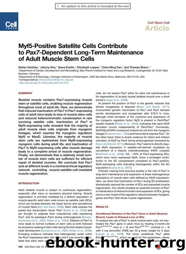 Myf5-Positive Satellite Cells Contribute to Pax7-Dependent Long-Term Maintenance of Adult Muscle Stem Cells by Stefan Günther & Johnny Kim & Sawa Kostin & Christoph Lepper & Chen-Ming Fan & Thomas Braun