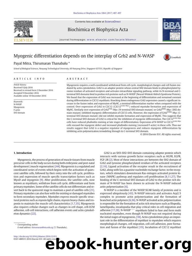 Myogenic differentiation depends on the interplay of Grb2 and N-WASP by Payal Mitra & Thirumaran Thanabalu