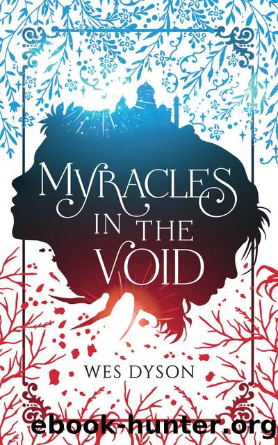 Myracles in the Void by Wes Dyson